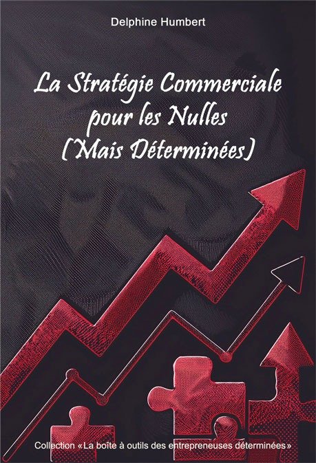 Couverture Ebook La Stratégie pour les Nulles (mais Déterminées)