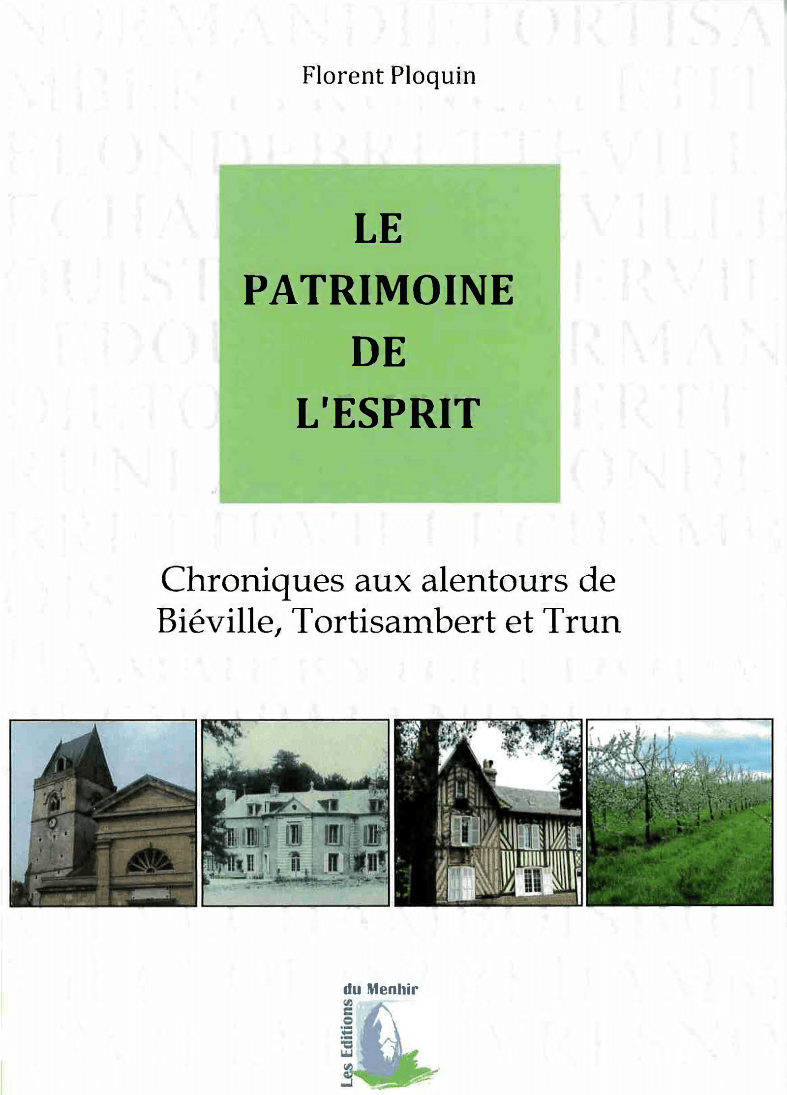 1ère de couverture du livre Le Patrimoine de l'Esprit de Florent Ploquin