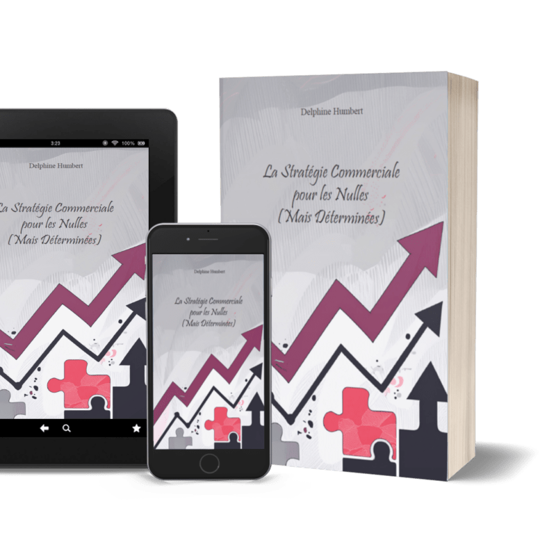 La Stratégie Commerciale pour les Nulles (Mais Déterminées) – Ac’Com