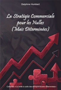 Couverture Ebook La Stratégie pour les Nulles (mais Déterminées)