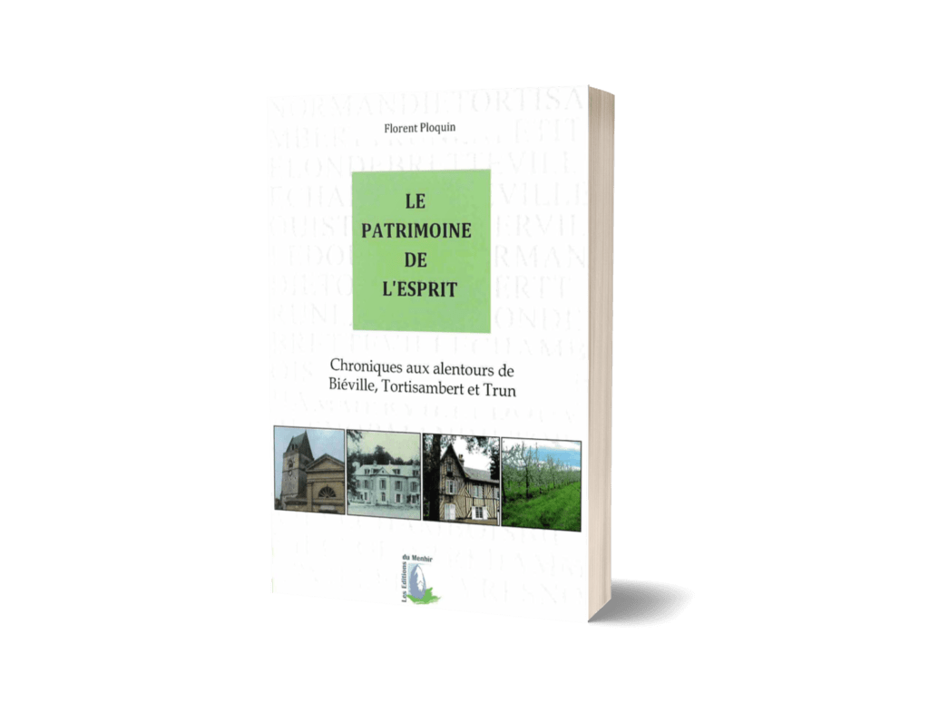 Mock up du livre papier Le Patrimoine de l'Esprit de Florent Ploquin