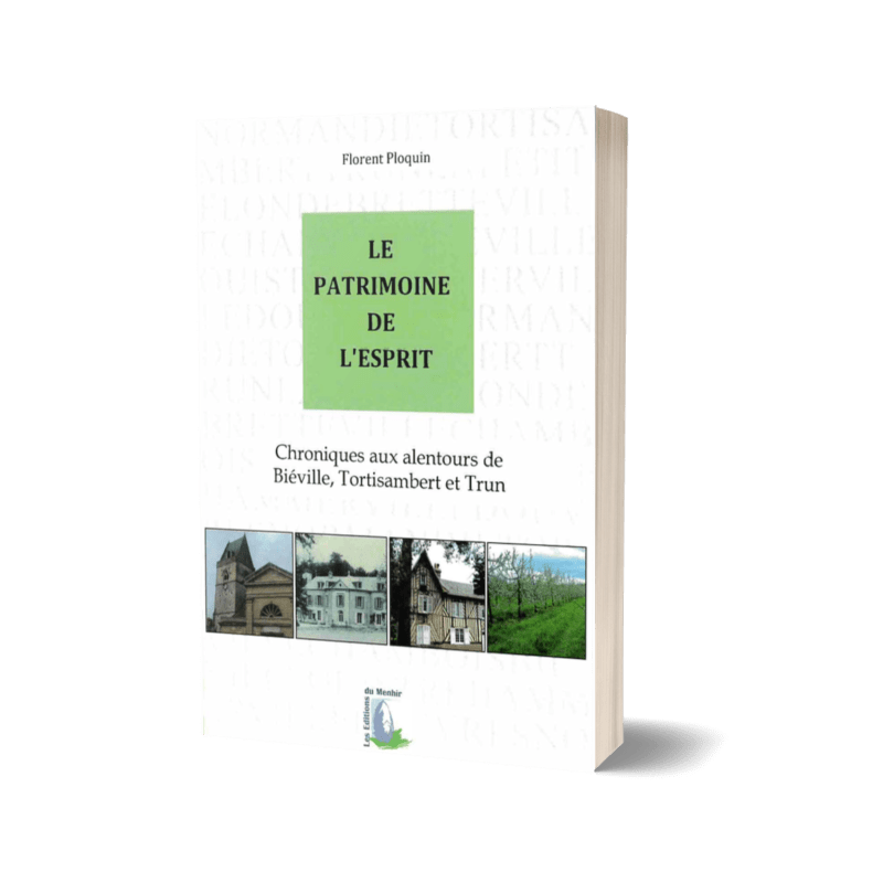 Mock up du livre papier Le Patrimoine de l'Esprit de Florent Ploquin
