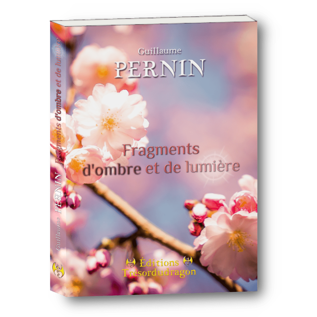 Fragments d’ombre et de lumière – Guillaume Pernin