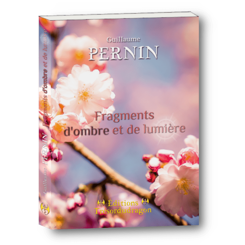 Fragments d’ombre et de lumière – Guillaume Pernin