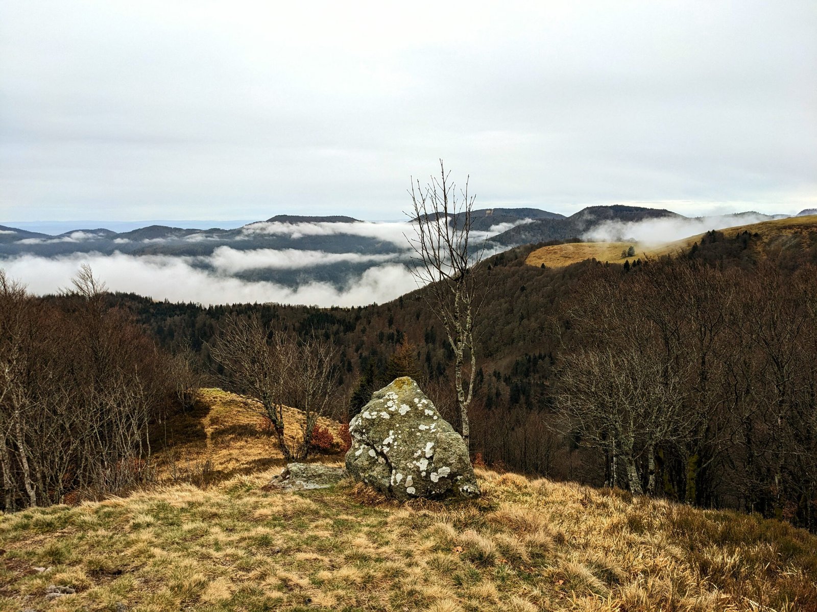 Photo d'un rocher, représentation imagée de l'auteure indépendante Eléonore de Thal (Alba Estran)