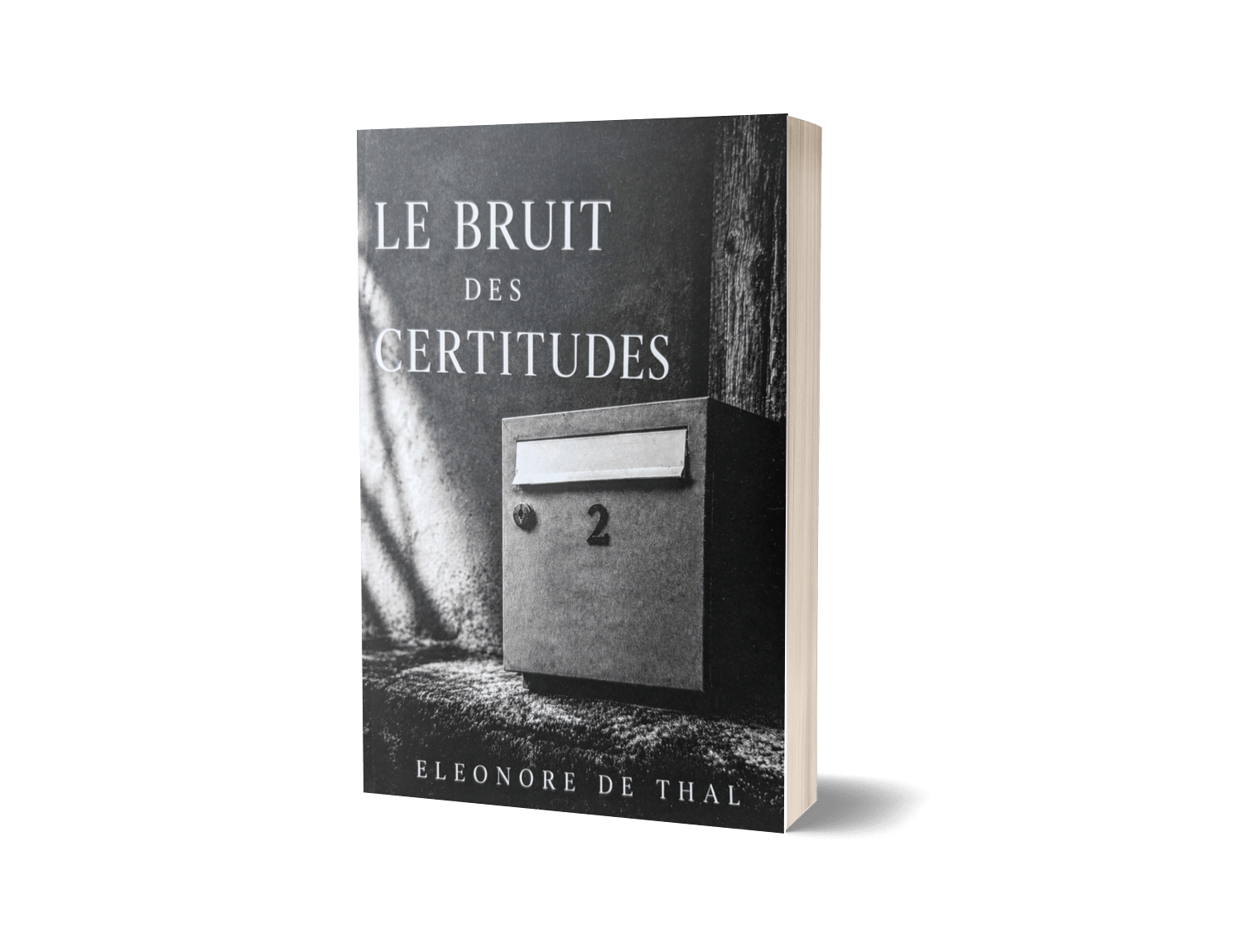 Mock up du livre Le Bruit des Certitudes de Eleonore de Thal (Alba Estran)