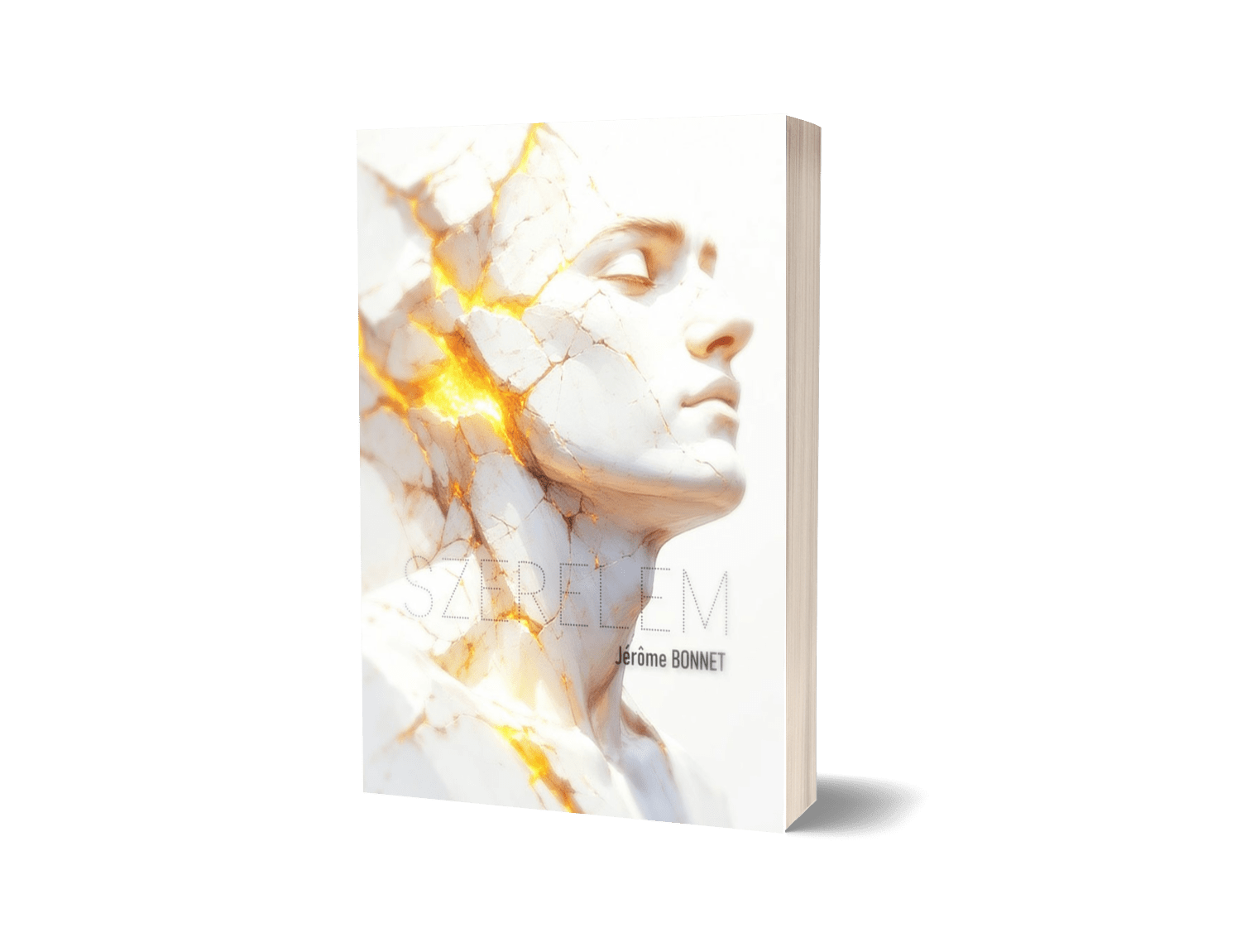 Mock up de l'essai philosophique Szerelem de Jérôme Bonnet