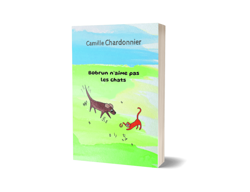 Bobrun n’aime pas les chats – Camille Chardonnier