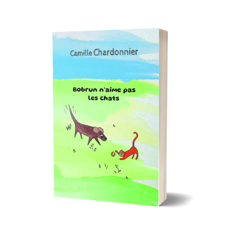 Bobrun n’aime pas les chats – Camille Chardonnier