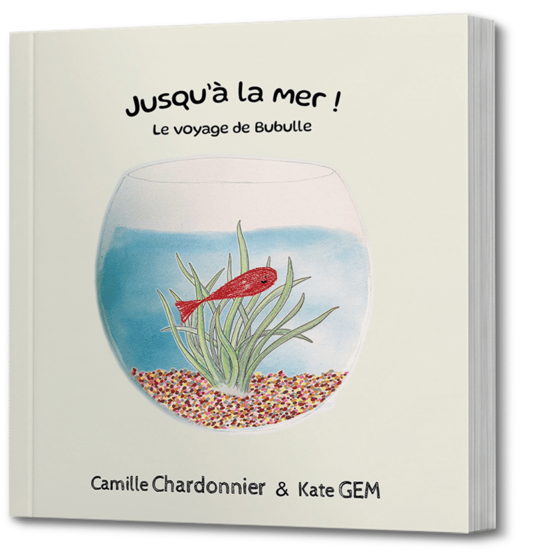 mock up du livre jeunesse Jusqu'à la Mer ! Le Voyage de Bubulle, de l'auteure indépendante Camille Chardonnier